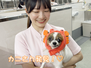 ドッグパークルームの生徒とモデル犬♪